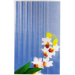 JM-201美国虹 Amerilite