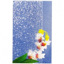 JQ-203麒麟 Chillin