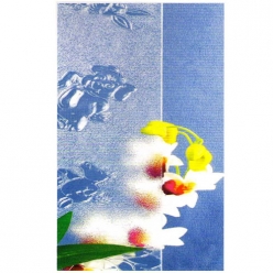 JS-201 十二生肖Animals