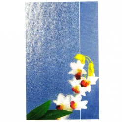 JX-101香梨 Nashiji