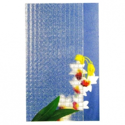 JX-401香梨中夹丝 Nashiji Wirde